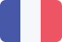 Fran&ccedil;ais