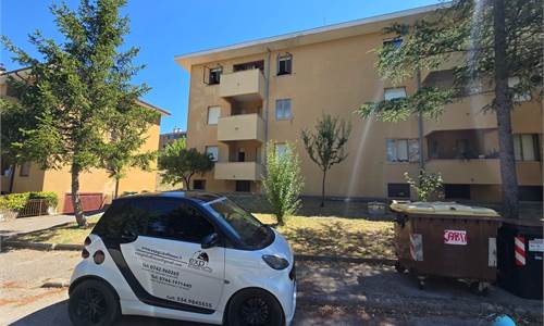 Ampio appartamento 3 camere a Bastardo