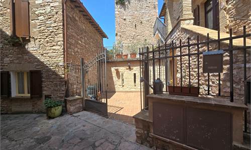 Appartamento con giardino e terreno - Collepino